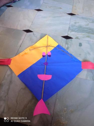 kite-rangoli-making-1