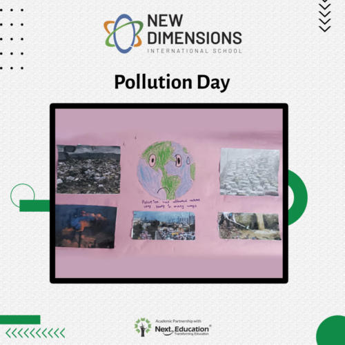 NDIS_Pollution_day_04