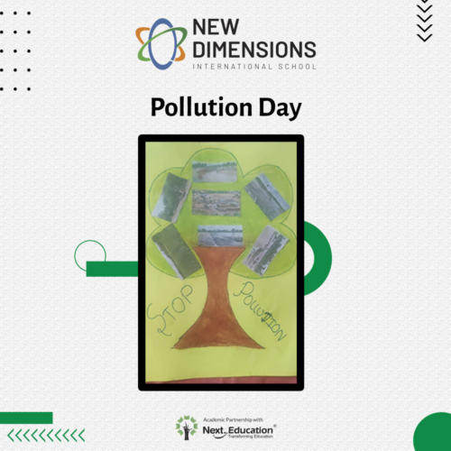 NDIS_Pollution_day_09