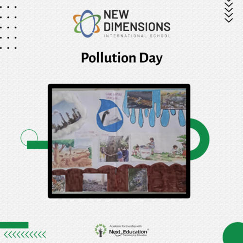 NDIS_Pollution_day_11