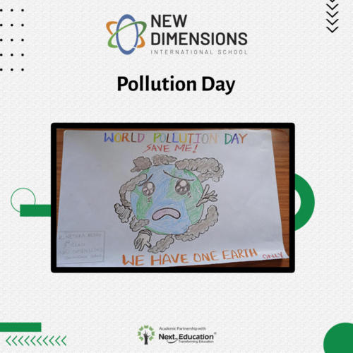 NDIS_Pollution_day_12