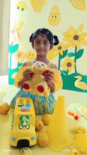 pre-primary-12